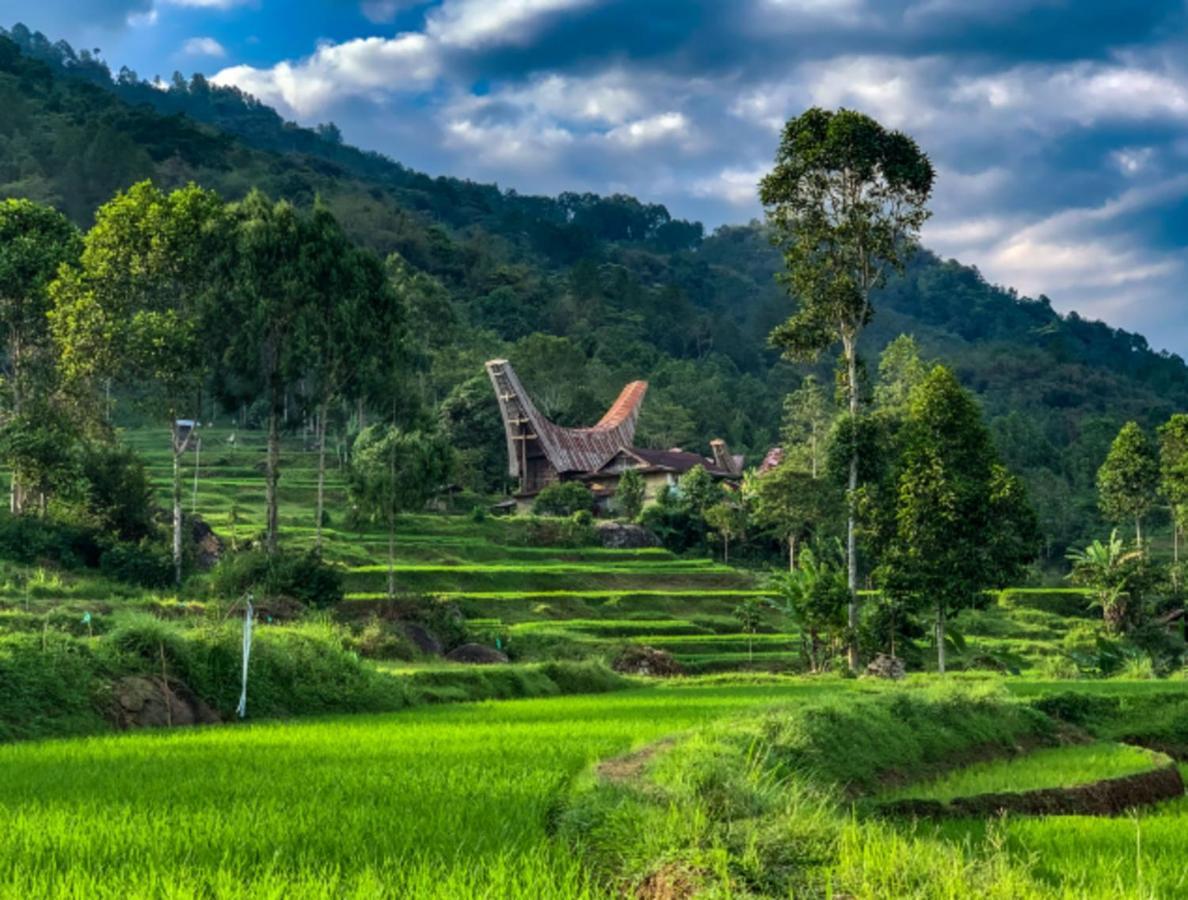Santai Toraja Hotel Rantepao Ngoại thất bức ảnh